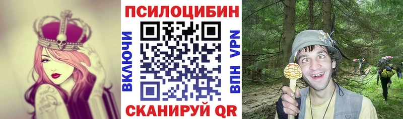 Псилоцибиновые грибы Psilocybe  купить   Сыктывкар 