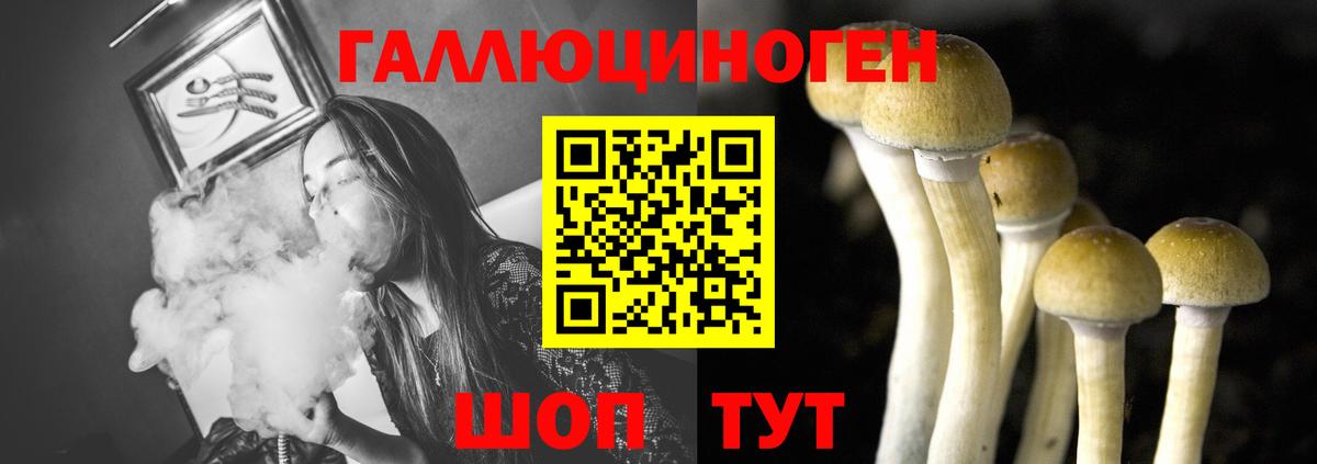 Галлюциногенные грибы Magic Shrooms Сыктывкар